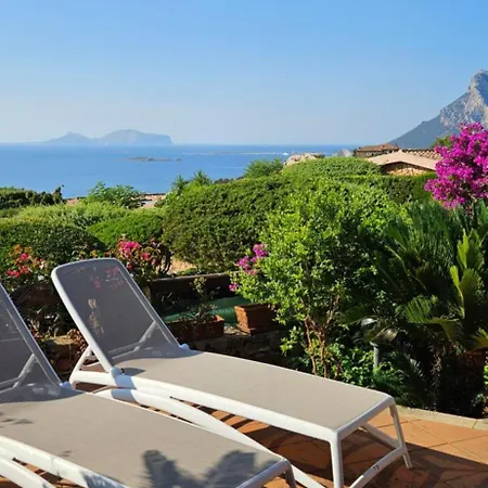 Residenze Coda Cavallo - Domos De Rocca Σπίτι διακοπών Punta Molara